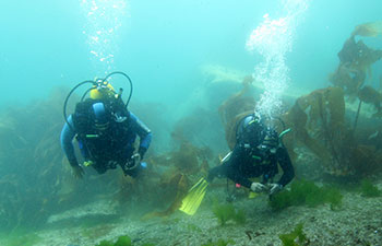 bautismo buceo