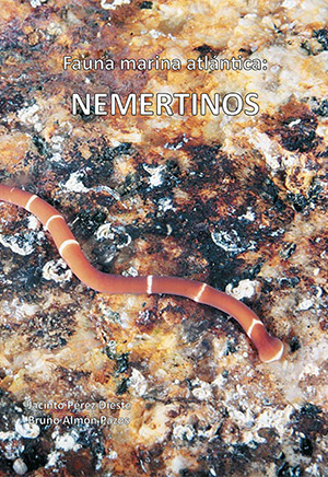 Nmertinos